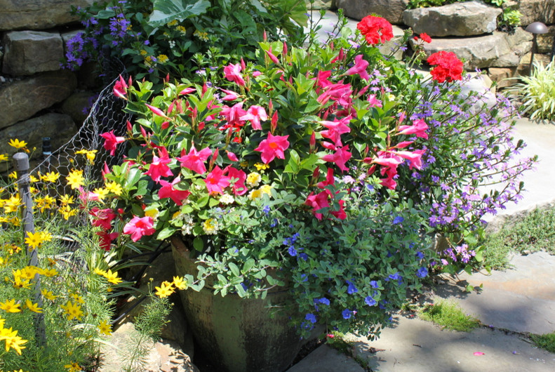Свежая идея для дизайна: маленький солнечный, весенний регулярный сад на боковом дворе в классическом стиле с растениями в контейнерах и хорошей освещенностью для на участке и в саду - отличное фото интерьера