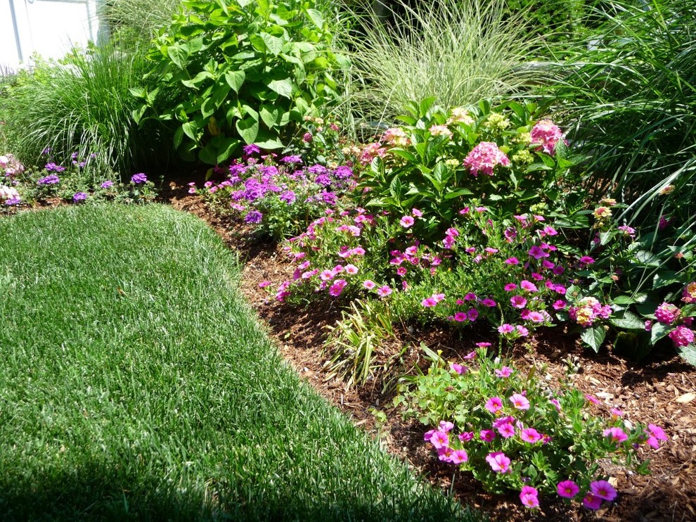 Annual Plantings Transitional Landscape Boston by Dewey Gardens