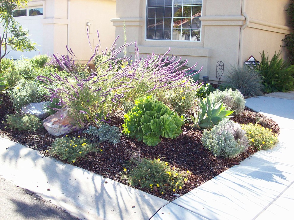Photo of a medium sized classic front partial sun garden in San Diego with concrete paving.