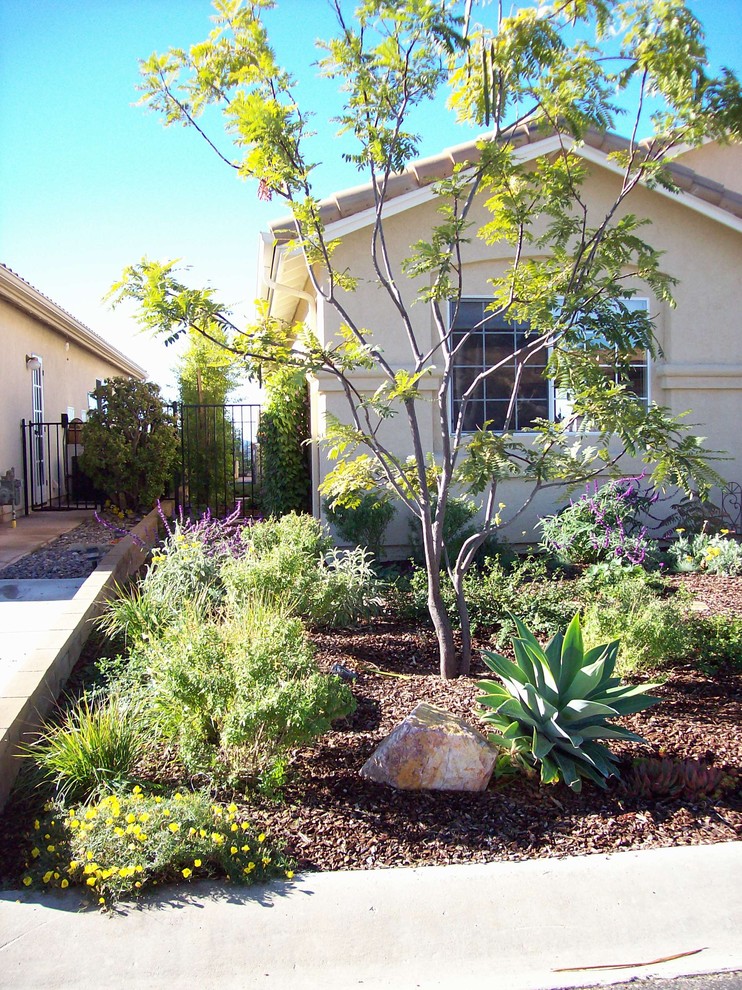 Modelo de jardín tradicional de tamaño medio en patio delantero con exposición parcial al sol y mantillo