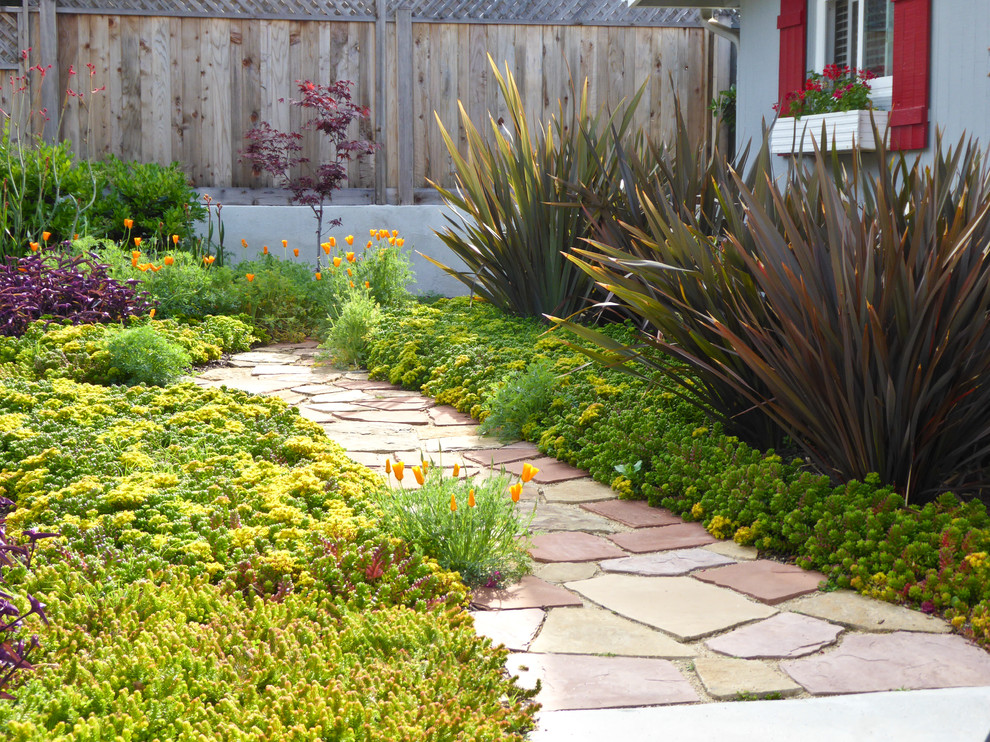 Foto di un piccolo giardino xeriscape boho chic esposto in pieno sole davanti casa in primavera con un ingresso o sentiero e pavimentazioni in pietra naturale