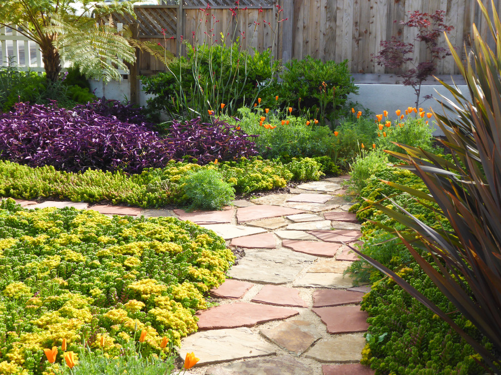 Пример оригинального дизайна: маленький солнечный, летний засухоустойчивый сад на переднем дворе в стиле фьюжн с садовой дорожкой или калиткой, хорошей освещенностью и покрытием из каменной брусчатки для на участке и в саду