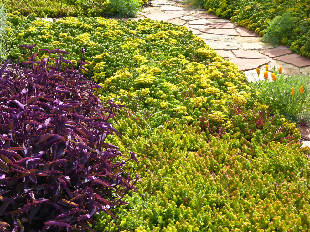 Immagine di un piccolo giardino xeriscape bohémian esposto in pieno sole davanti casa con un ingresso o sentiero e pavimentazioni in pietra naturale