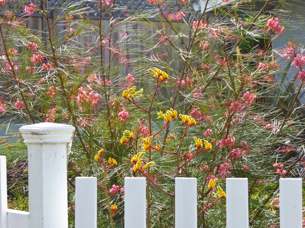Пример оригинального дизайна: маленький солнечный засухоустойчивый сад на переднем дворе в стиле фьюжн с садовой дорожкой или калиткой, хорошей освещенностью и покрытием из каменной брусчатки для на участке и в саду