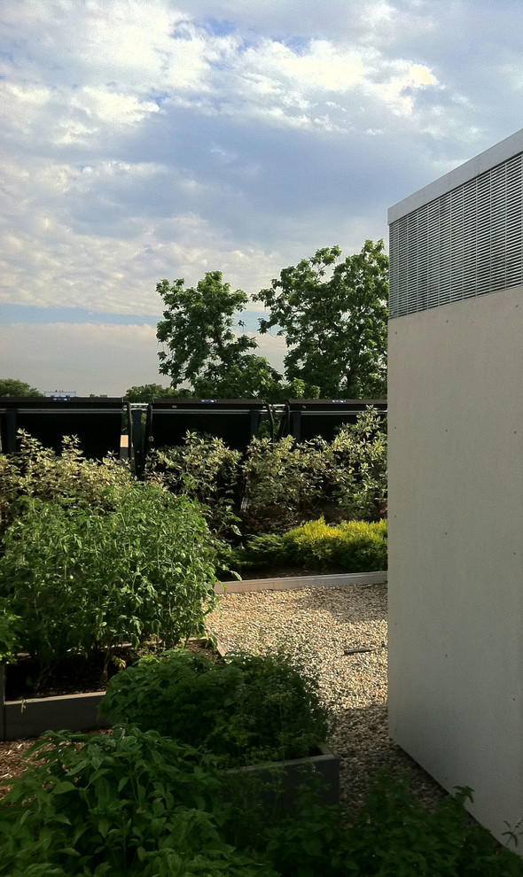 Großer Moderner Garten im Sommer mit direkter Sonneneinstrahlung und Dielen in Chicago