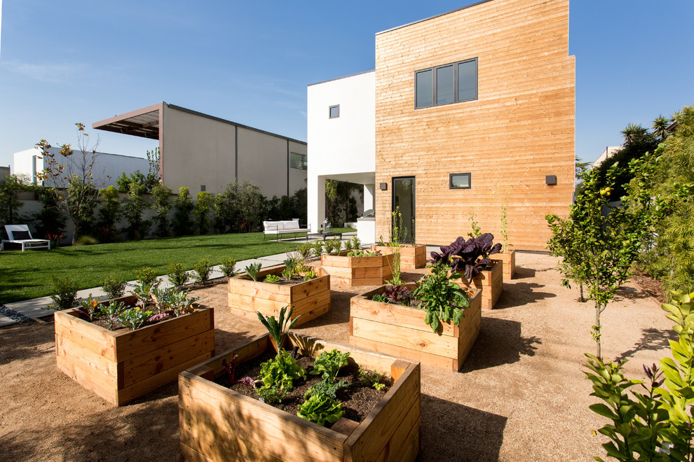 Inspiration for a large contemporary full sun backyard gravel landscaping in Los Angeles.