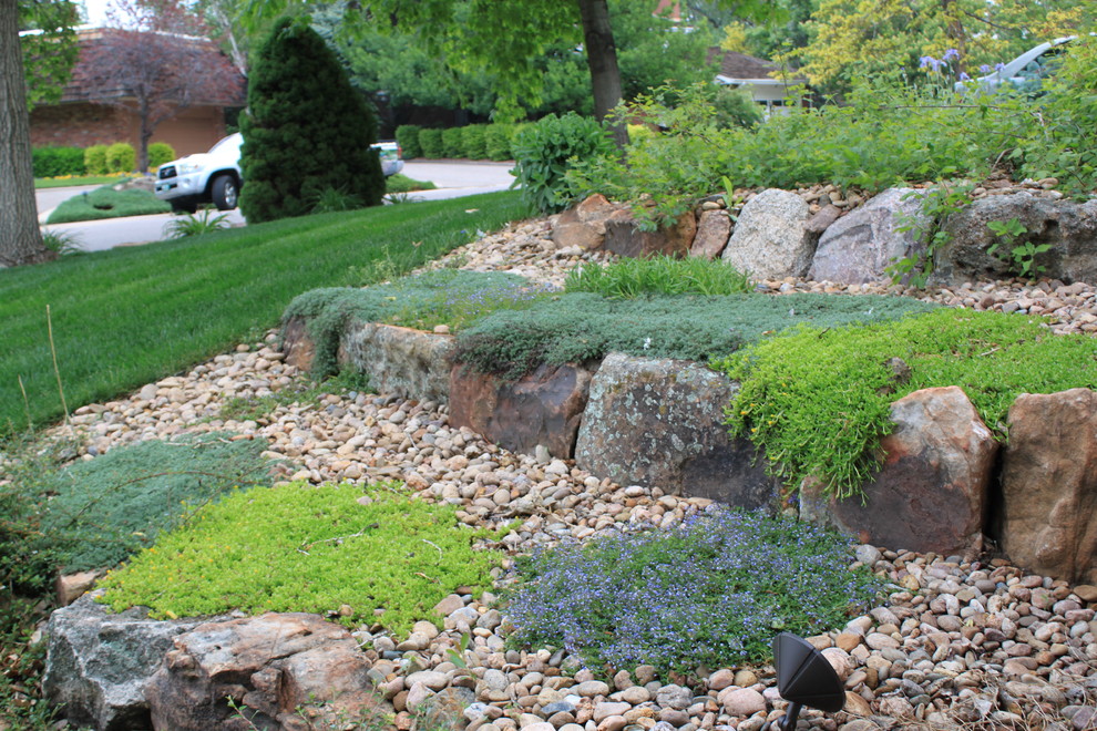 Photo of a classic garden in Denver.
