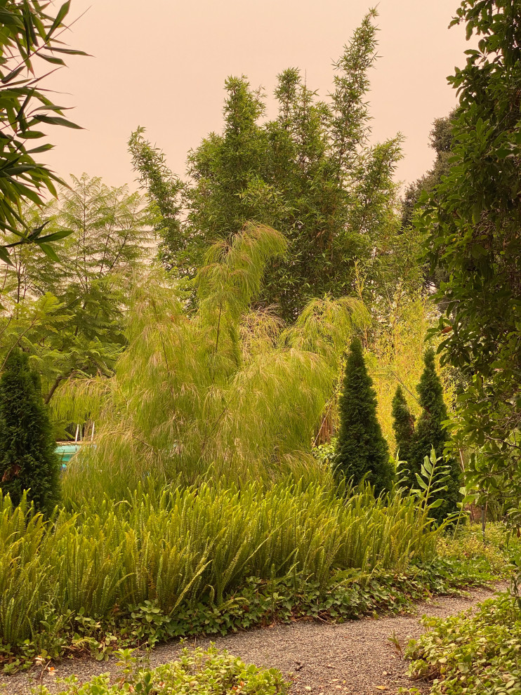 Réalisation d'un grand jardin à la française champêtre l'été avec une exposition partiellement ombragée, une pente, une colline ou un talus et des pavés en pierre naturelle.