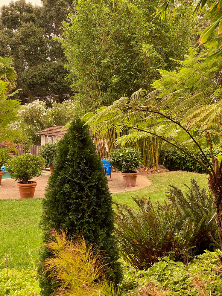 Inspiration pour un grand jardin à la française rustique l'été avec une exposition partiellement ombragée, une pente, une colline ou un talus et des pavés en pierre naturelle.
