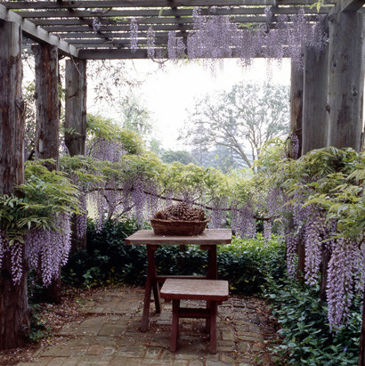 Inspiration for a huge traditional courtyard brick formal garden in San Francisco.