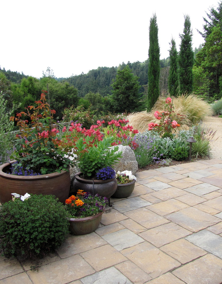 Aptos hills, California Traditional Landscape San Francisco by