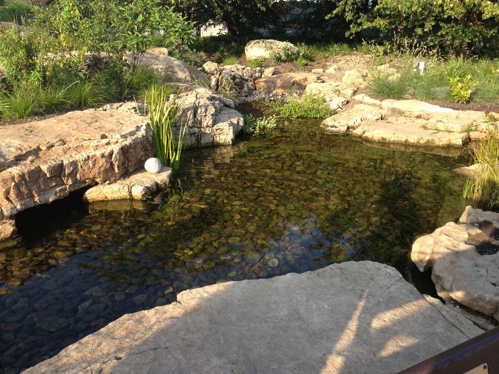 Aquascape Ecosystem Waterfall Pond Installation, Shedd Aquarium, Acorn