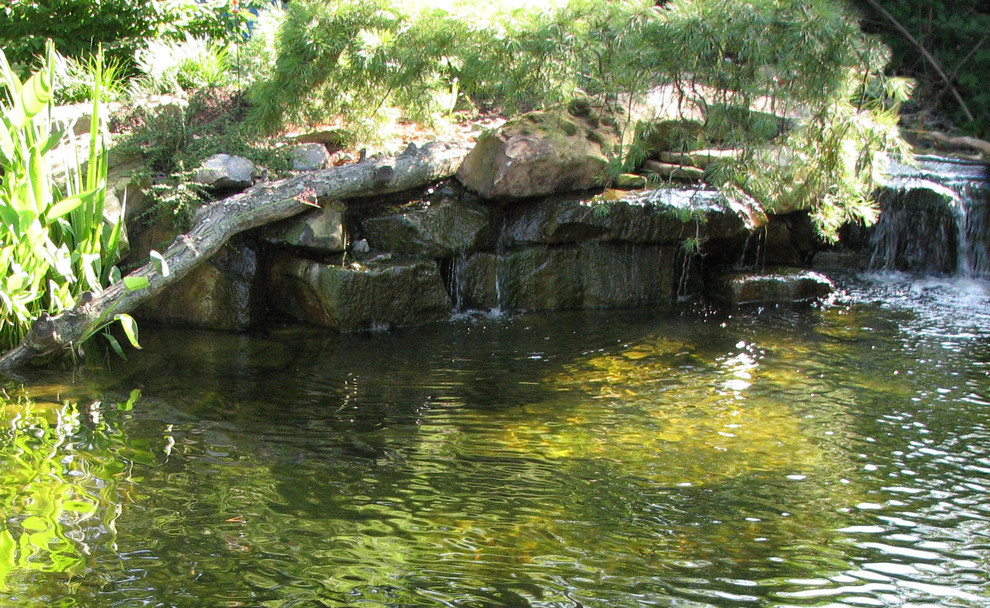 Aquatic Sanctuary Contemporary Landscape Cincinnati by Devore's