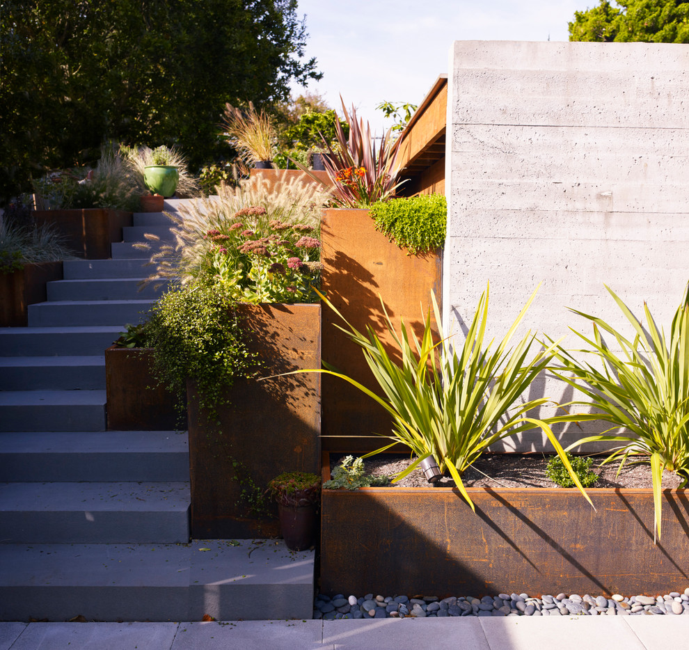 Стильный дизайн: участок и сад в современном стиле с садовой дорожкой или калиткой - последний тренд