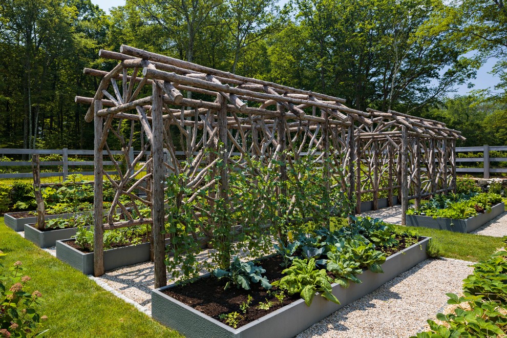Réalisation d'un grand jardin latéral champêtre l'été avec une exposition ensoleillée et du gravier.