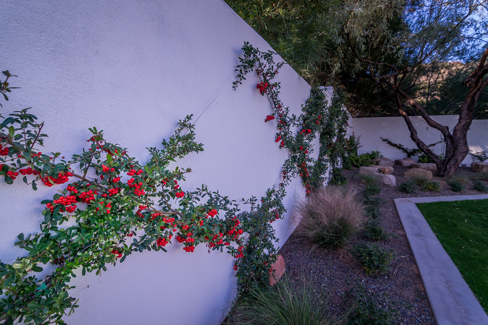 Esempio di un ampio giardino formale mediterraneo esposto in pieno sole nel cortile laterale in estate con un muro di contenimento e pavimentazioni in pietra naturale
