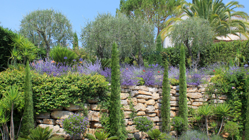Immagine di un giardino mediterraneo esposto in pieno sole con sassi e rocce