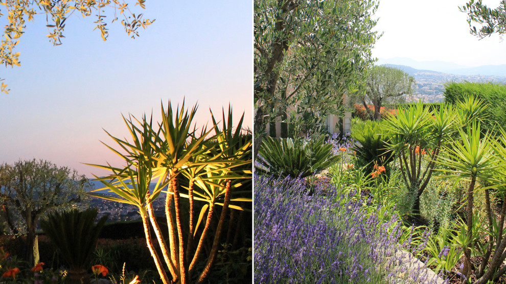 Cette photo montre un jardin méditerranéen avec un massif de fleurs et une exposition ensoleillée.