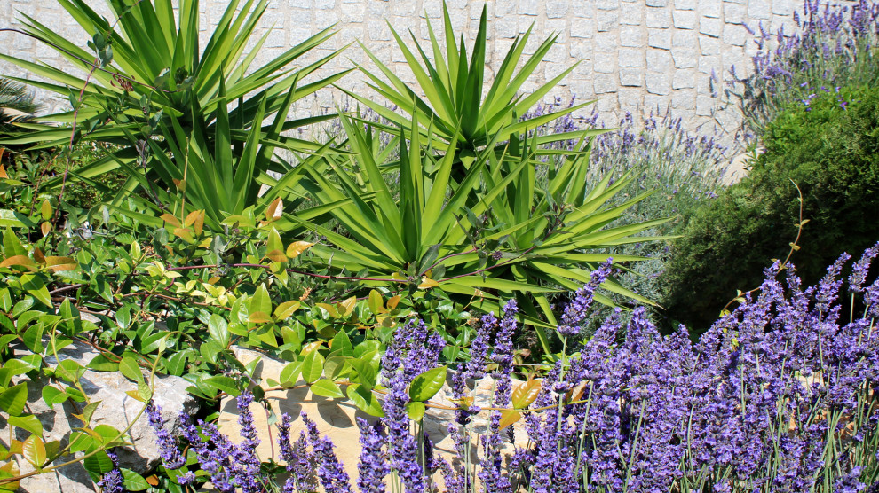 Mediterraner Garten mit Blumenbeet, direkter Sonneneinstrahlung und Natursteinplatten in Nizza