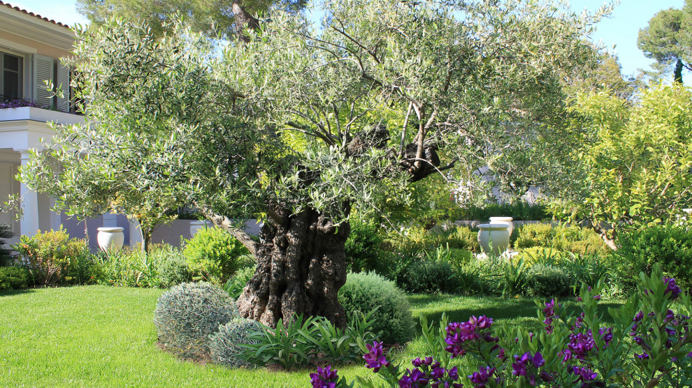 Mediterraner Garten mit direkter Sonneneinstrahlung und Natursteinplatten in Nizza