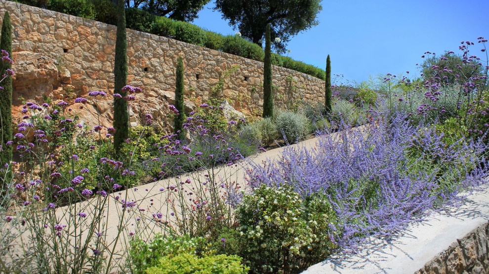 Идея дизайна: солнечный участок и сад в средиземноморском стиле с подъездной дорогой, подпорной стенкой и хорошей освещенностью