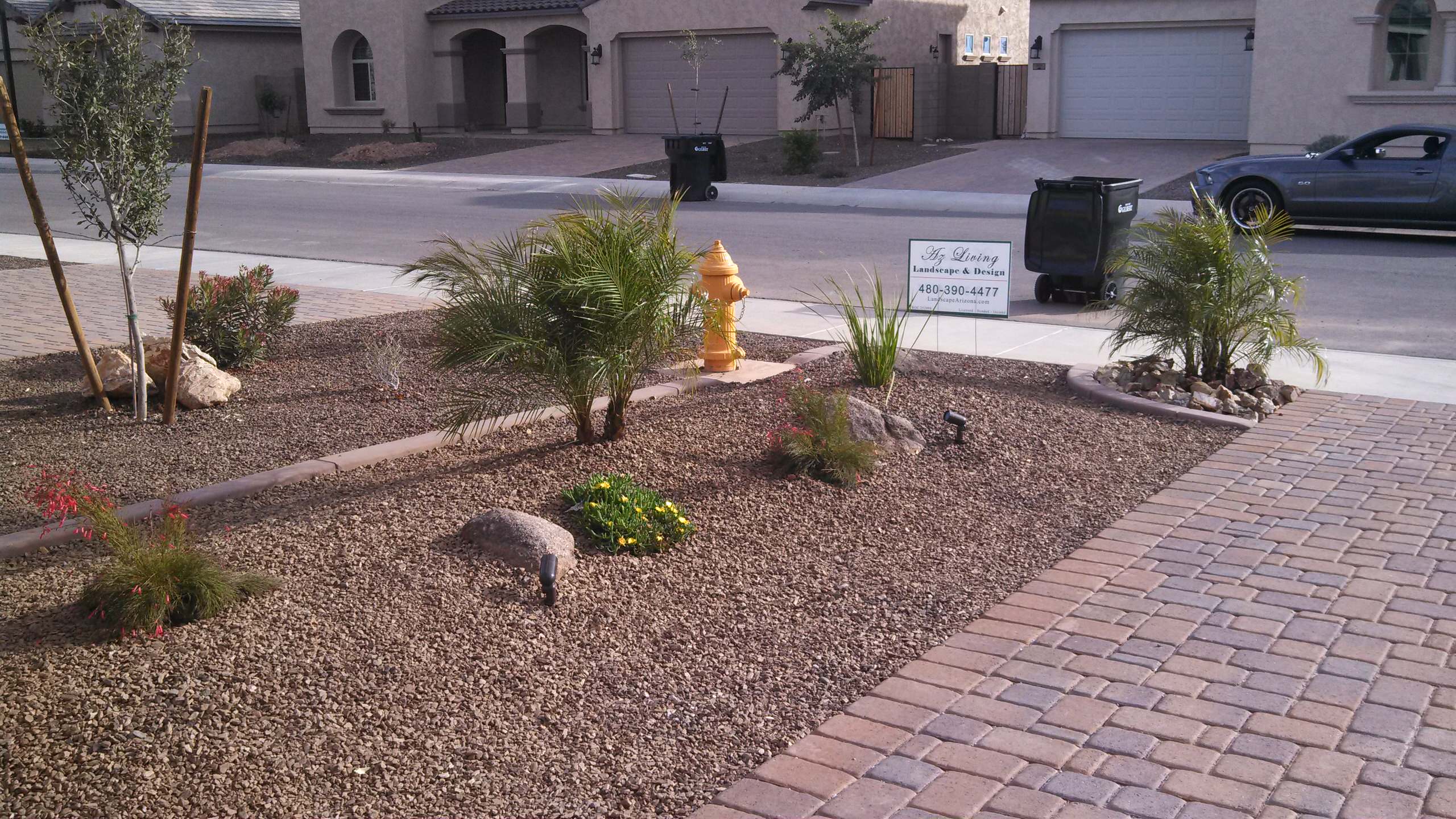 arizona landscaping