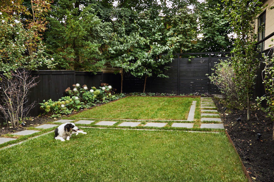 Esempio di un giardino moderno esposto a mezz'ombra di medie dimensioni e dietro casa in primavera