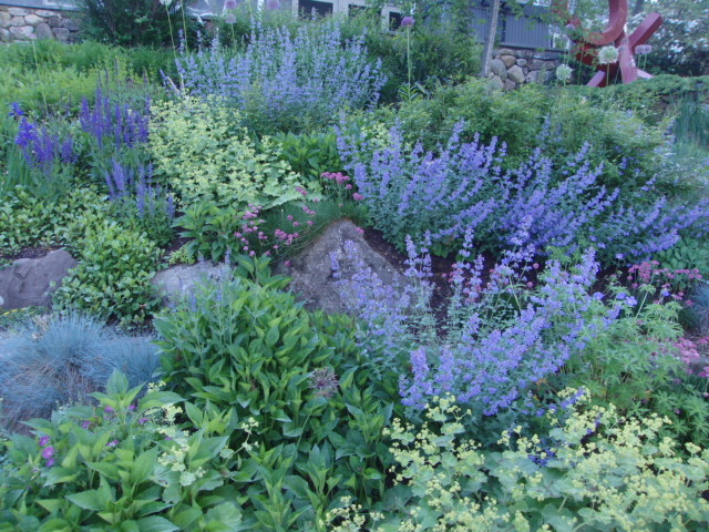 Design ideas for a transitional landscaping in Boston.