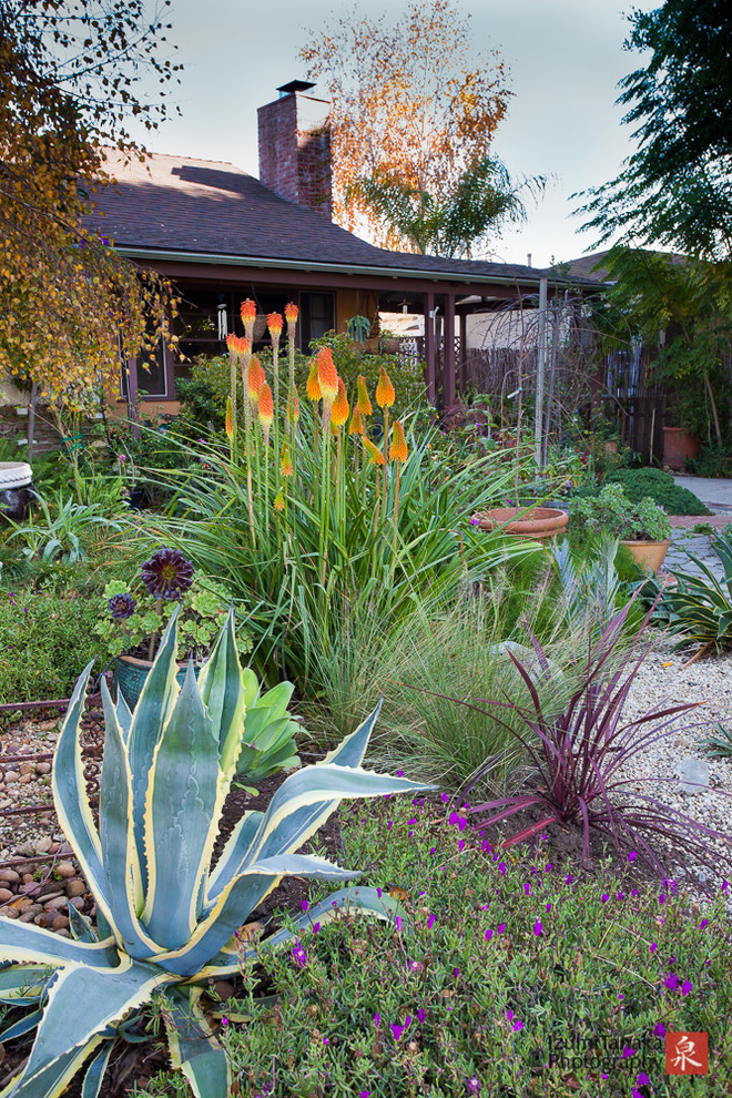 ロサンゼルスにある地中海スタイルのおしゃれな庭の写真