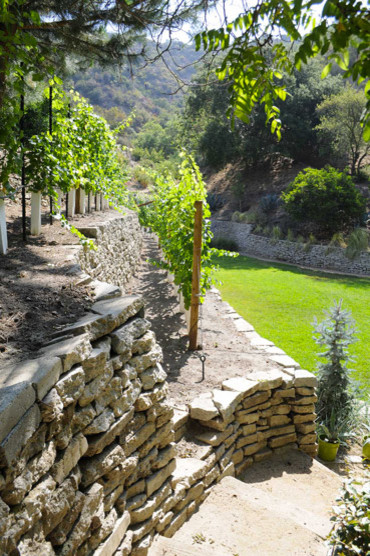 Cette image montre un jardin design de taille moyenne et au printemps avec un mur de soutènement, une exposition ensoleillée, une pente, une colline ou un talus et des pavés en pierre naturelle.