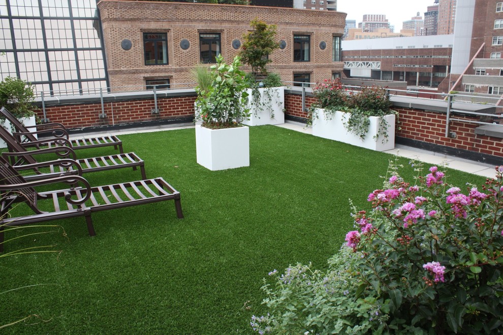 ニューヨークにある小さなトランジショナルスタイルのおしゃれな屋上庭園 (コンテナガーデン、日向) の写真
