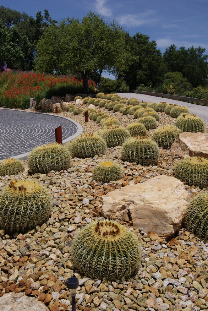Photo of a modern front xeriscape full sun garden in San Luis Obispo.