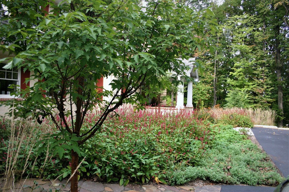 Kleiner, Schattiger Vorgarten im Frühling mit Auffahrt und Natursteinplatten in Philadelphia