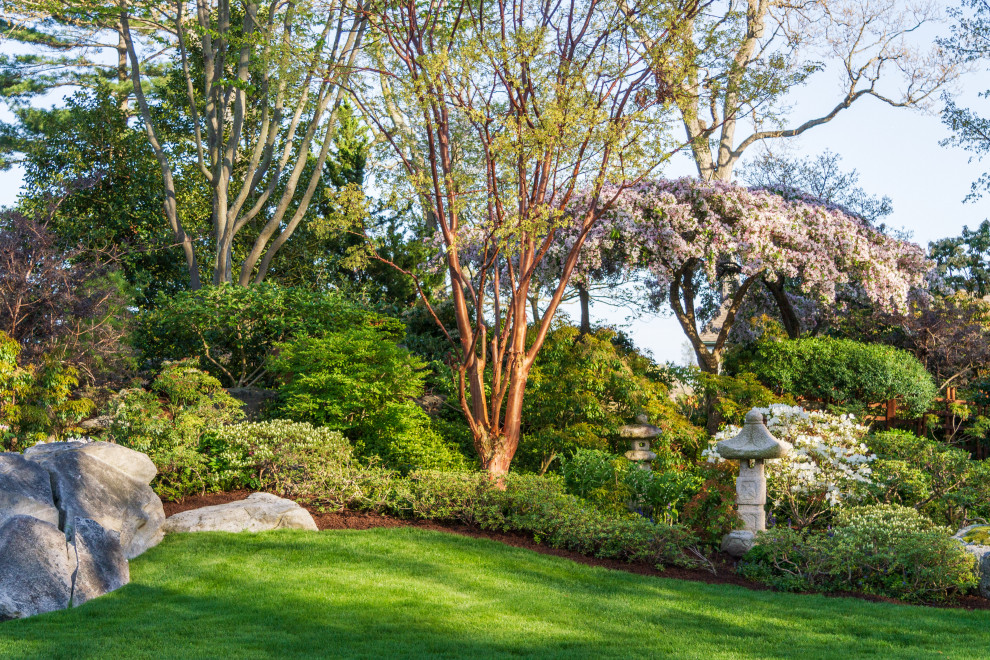 На фото: большой весенний регулярный сад на переднем дворе в современном стиле с садовой дорожкой или калиткой, полуденной тенью и покрытием из гравия