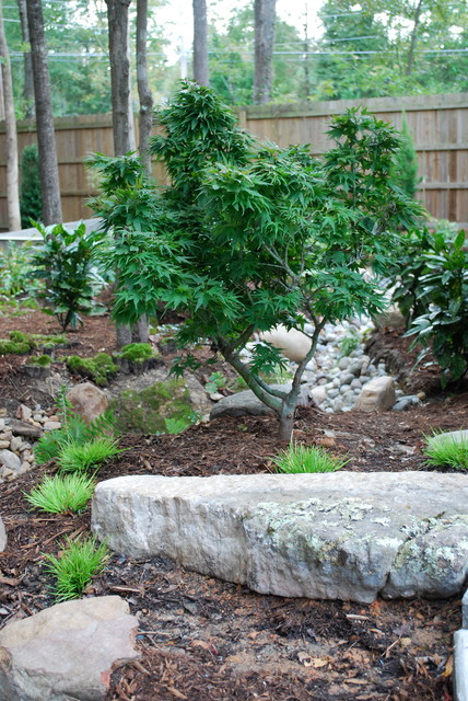 Asian Inspired Woodland Garden - Asiatisch - Garten - Charlotte - von