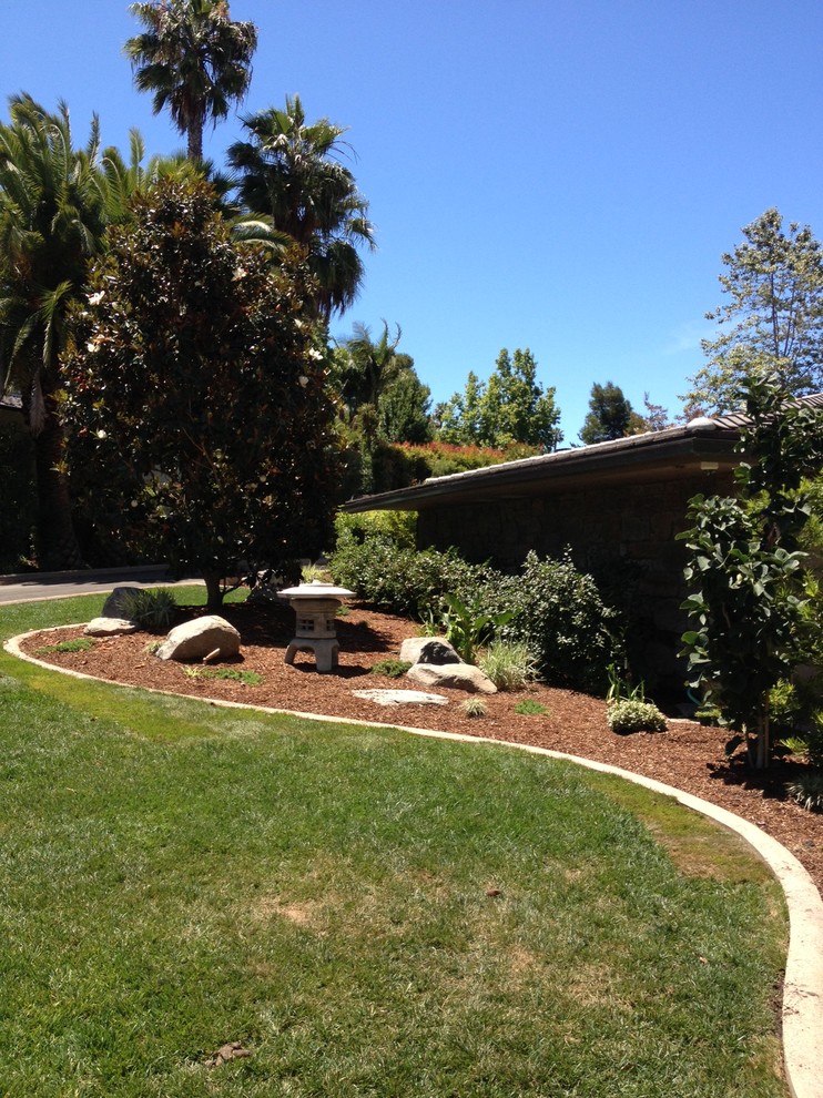 Inspiration for a world-inspired garden in San Diego.