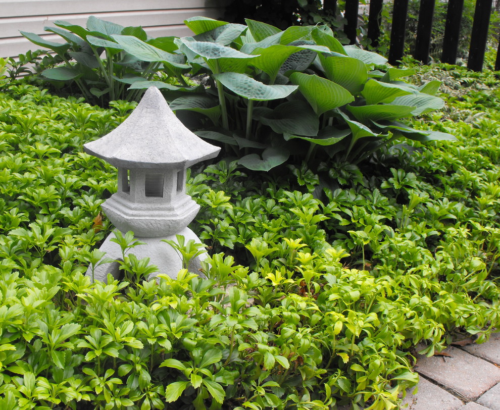 Idées déco pour un jardin avant asiatique de taille moyenne avec une exposition ensoleillée et des pavés en béton.