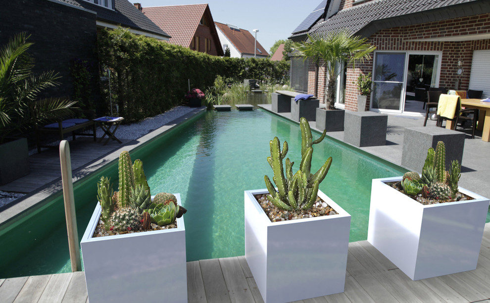 Diseño de jardín minimalista de tamaño medio en verano en patio trasero con jardín francés y entablado