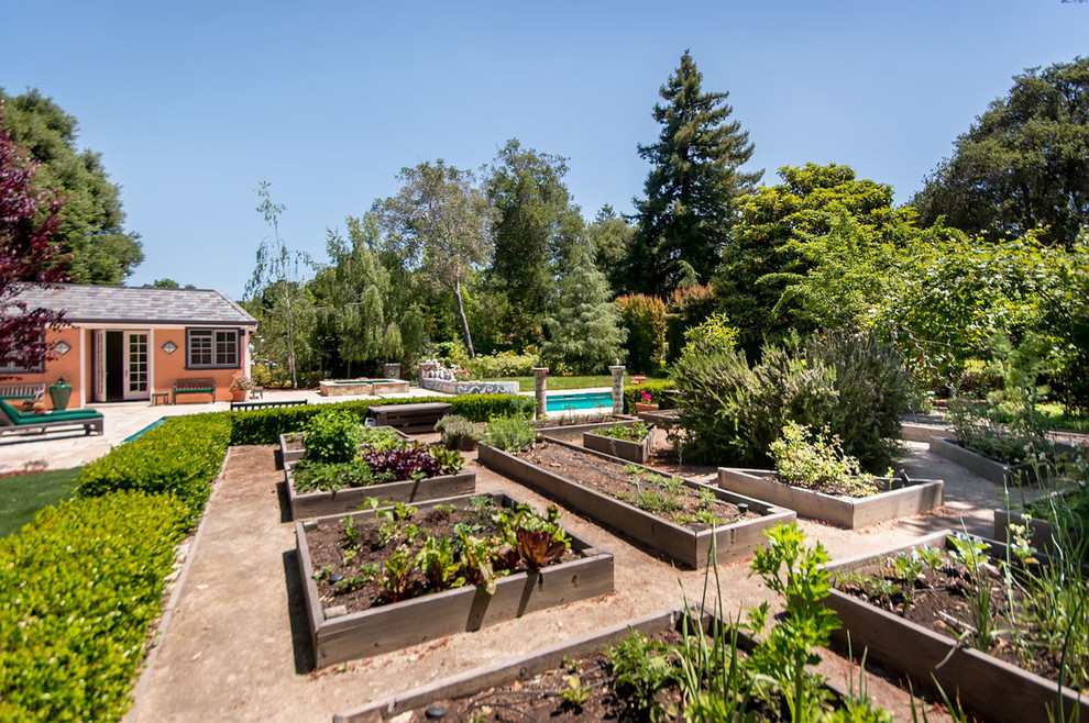 Contemporary garden in San Francisco.