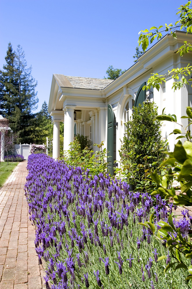 This is an example of a traditional front yard landscaping in San Francisco.
