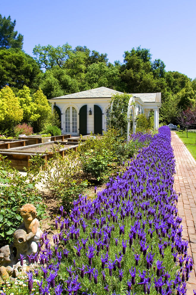 Design ideas for a traditional full sun landscaping in San Francisco for summer.