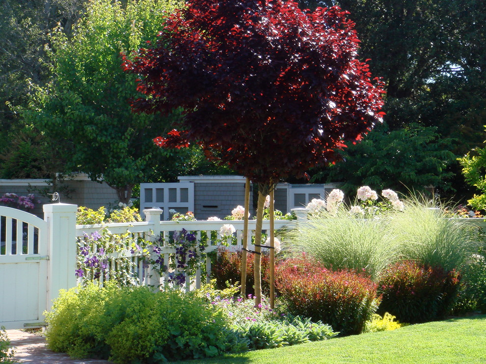 Mittelgroßer Klassischer Garten im Frühling mit direkter Sonneneinstrahlung und Pflastersteinen in San Francisco