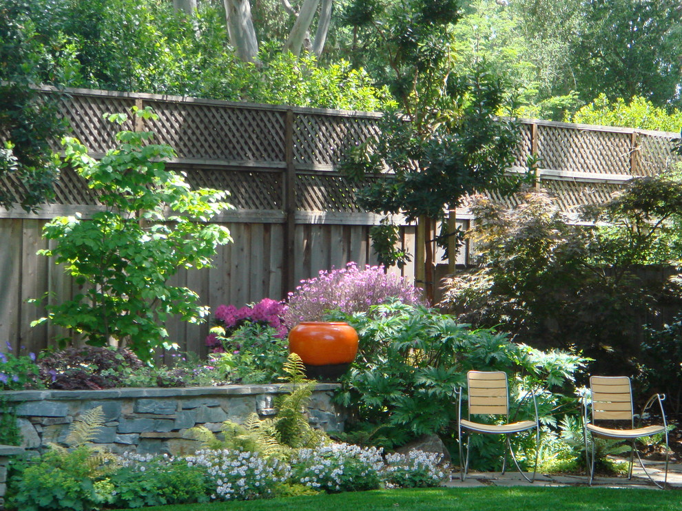 サンフランシスコにあるお手頃価格の中くらいな、春のコンテンポラリースタイルのおしゃれな裏庭 (擁壁、日陰、コンクリート敷き	) の写真