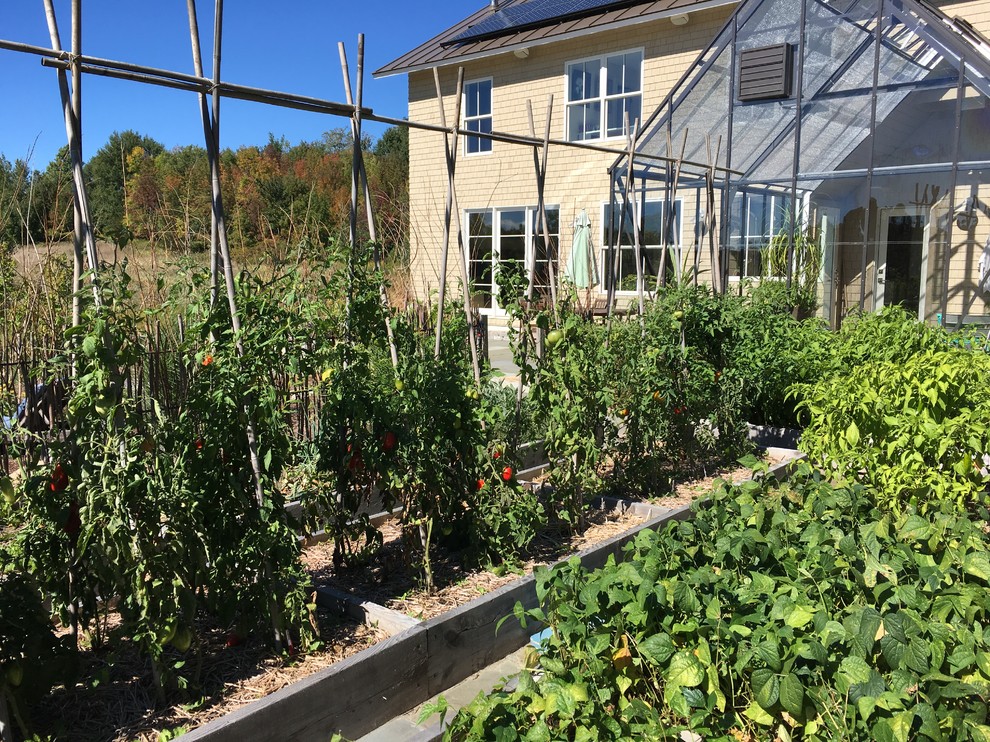 Inspiration för en liten vintage trädgård i full sol på sommaren, med en köksträdgård och naturstensplattor