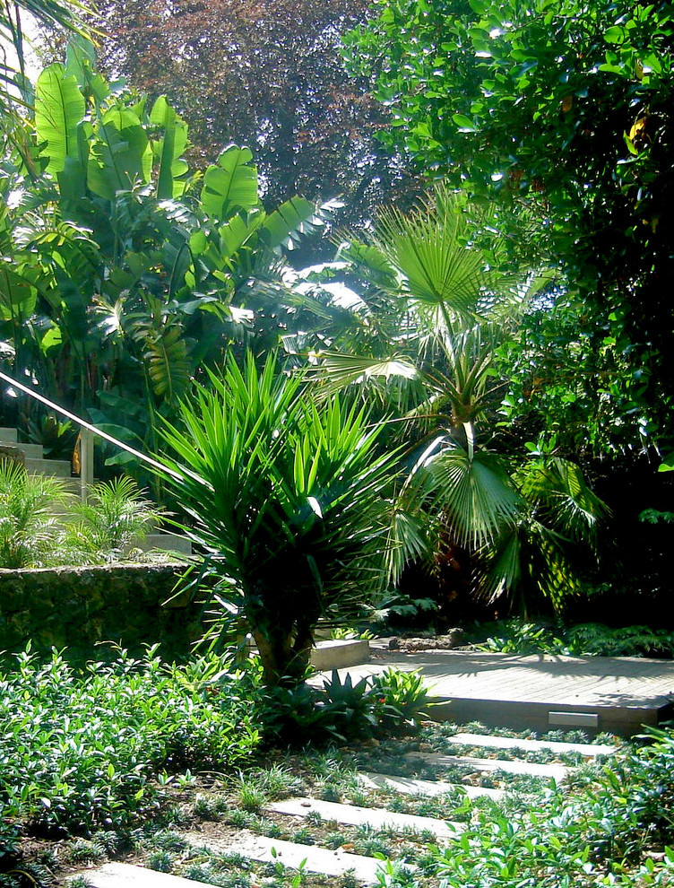 Immagine di un giardino tropicale in ombra di medie dimensioni e davanti casa con un ingresso o sentiero e pedane