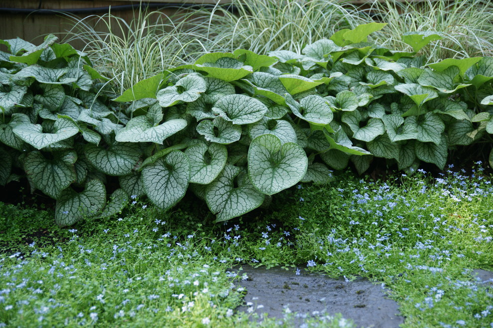 Inspiration for a modern landscaping in Portland.