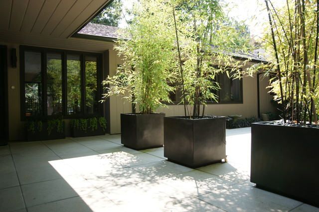 Austin Residence Modern Garden Portland By Creative Garden Spaces Houzz