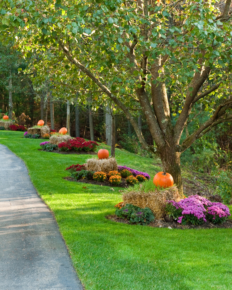 Klassischer Vorgarten im Herbst mit Auffahrt und Blumenbeet in Boston