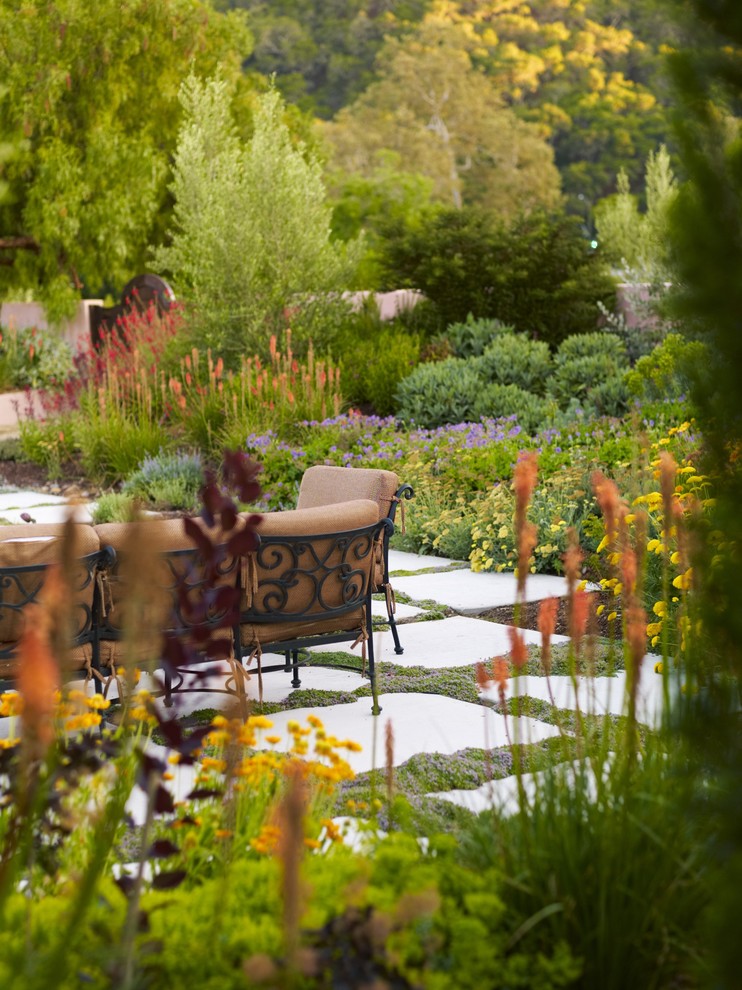 Design ideas for a mediterranean backyard landscaping in San Luis Obispo for fall.