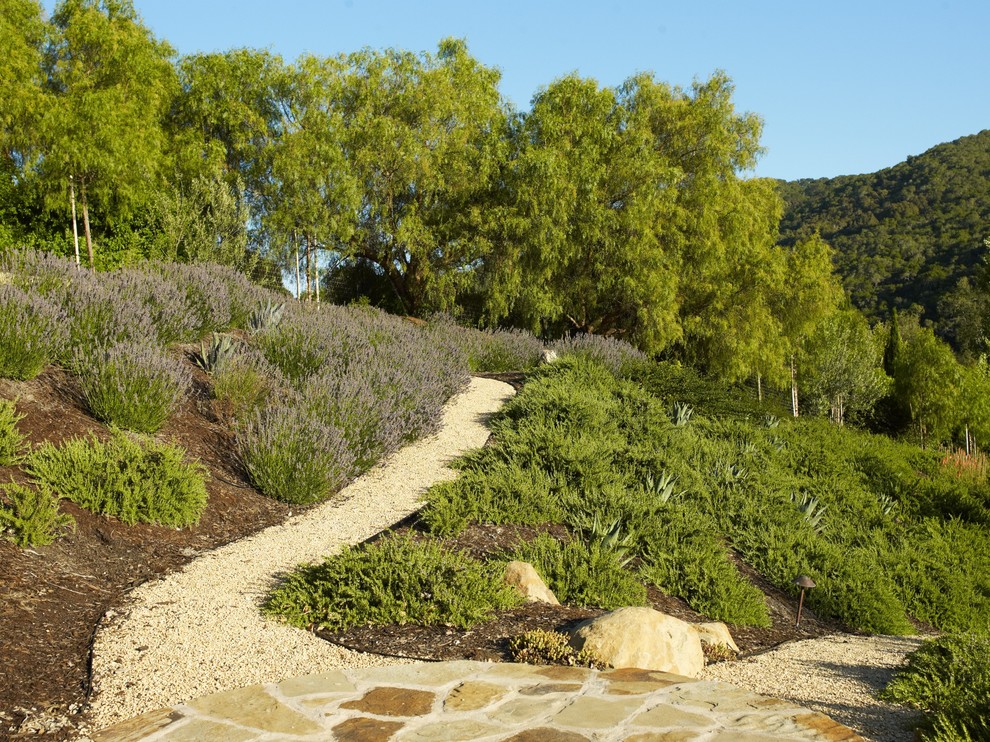 Foto di un giardino mediterraneo con un pendio, una collina o una riva e ghiaia